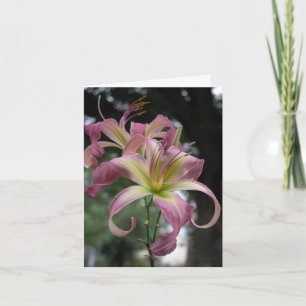 Daylily Note Card