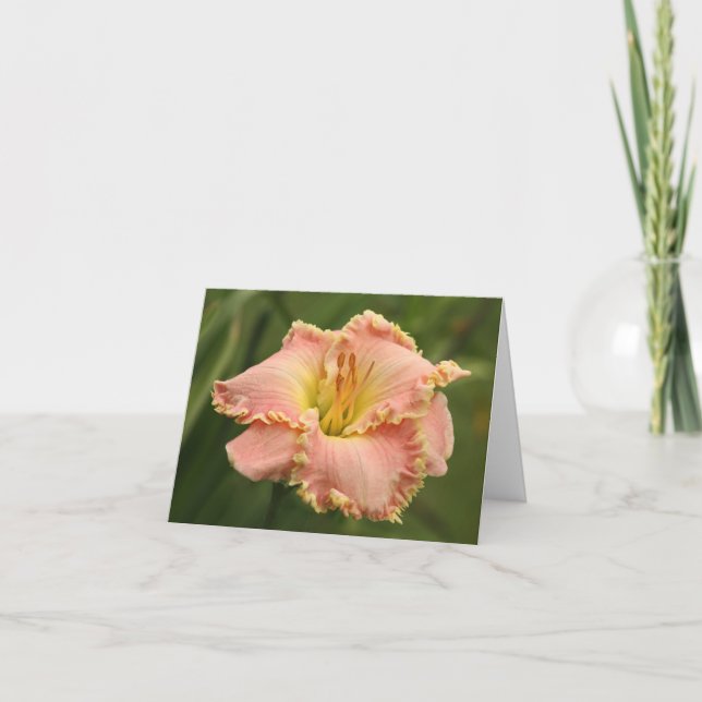 Daylily Note Card (Front)