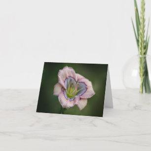Daylily Note Card