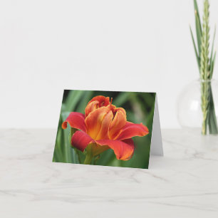 Daylily Note Card