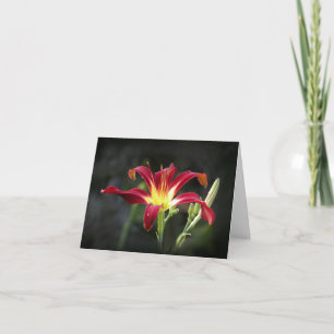 Daylily Note Card