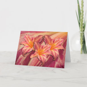 Daylily 'Pink Stripes' Card