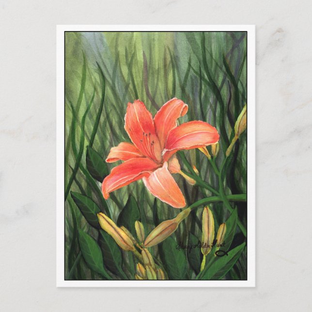 Daylily Postcard (Front)