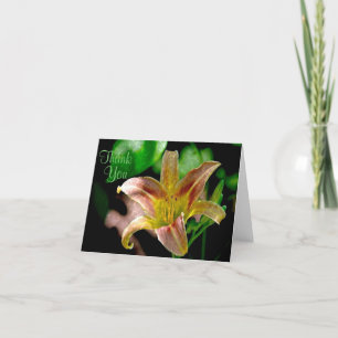 Daylily Thank You Card
