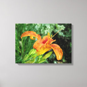 Daylily Watercolor Canvas
