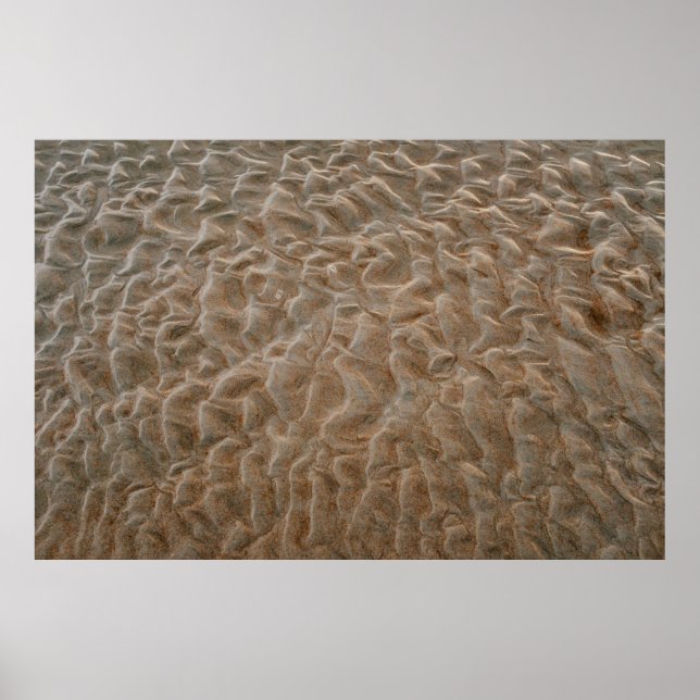 Daytona beach poster (Front)