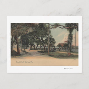 Daytona, Florida - View of Beach Street Postcard