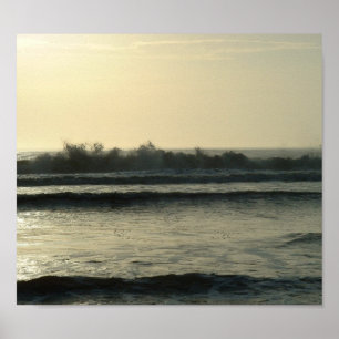 Daytona Waves Poster