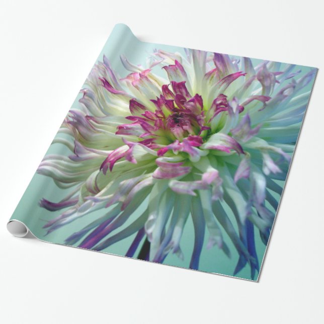 Dazzle Me, Dahlia! Wrapping Paper (Unrolled)