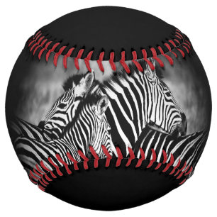 Dazzle of Zebra  Softball