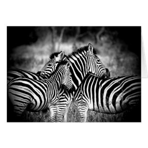 Dazzle of Zebra Thinking of You Custom Inside