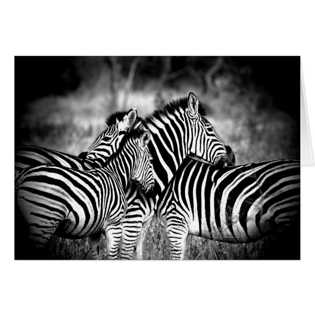 Dazzle of Zebra Thinking of You Custom Inside (Front Horizontal)