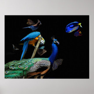Dazzling Creatures Poster