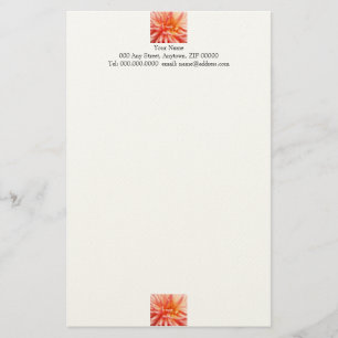 Dazzling Dahlia Flower Stationery