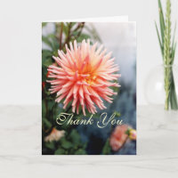 Dazzling Dahlia Flower