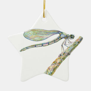 Dazzling Dragonfly on a Branch Ceramic Ornament