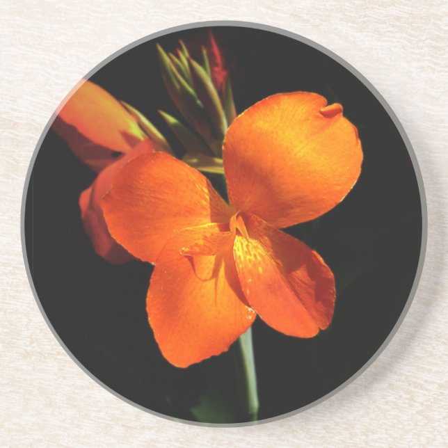 Dazzling Orchid Sandstone Coaster (Front)