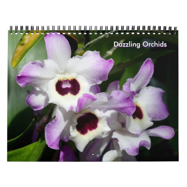 Dazzling Orchids Calendar (Cover)