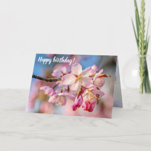 Dazzling Sakura Flowers. Beige And Blue Background Card