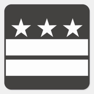 DC Flag in Black & White Square Sticker