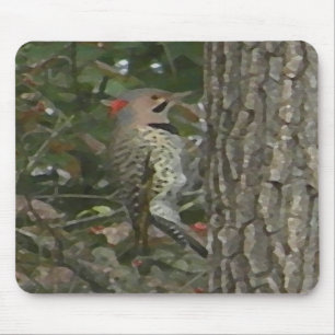 DC- Flicker Woodpecker Bird Mousepad