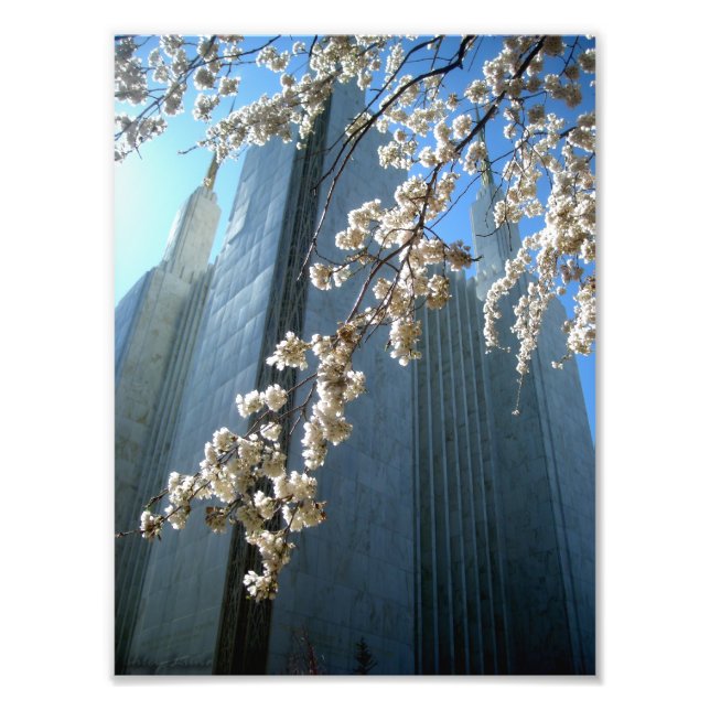 DC Temple Photo Print (Front)