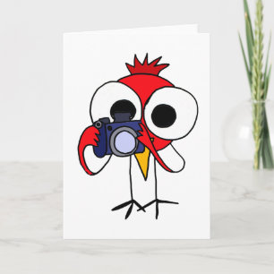 DD- Red Cardinal Bird with Camera Cartoon Card