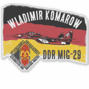 DDT MIG 29