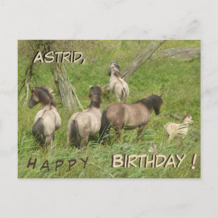 De Beaux Chevaux Sauvages Poussière. Carte postale