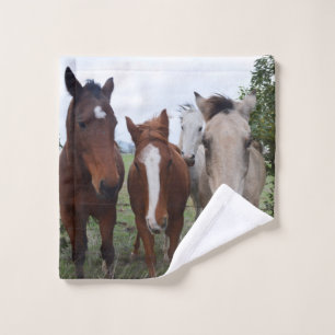 De Beaux Problèmes De Cheval,