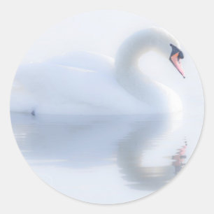De Beaux Stickers De Cygne