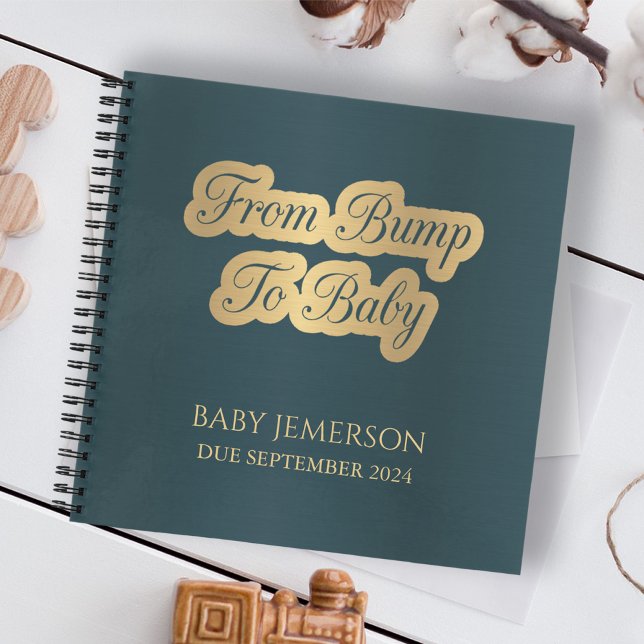 De Bump à Baby Keepsaké Journal de grossesse (Créateur téléchargé)