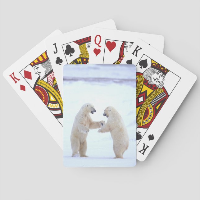 De Cartes Jeu d'ours polaire (dos)