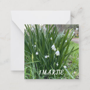 De Correspondance 1 carte à billet plat Martie
