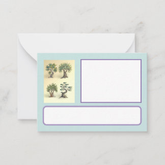 De Correspondance carte avec les oliviers taillés Provence.