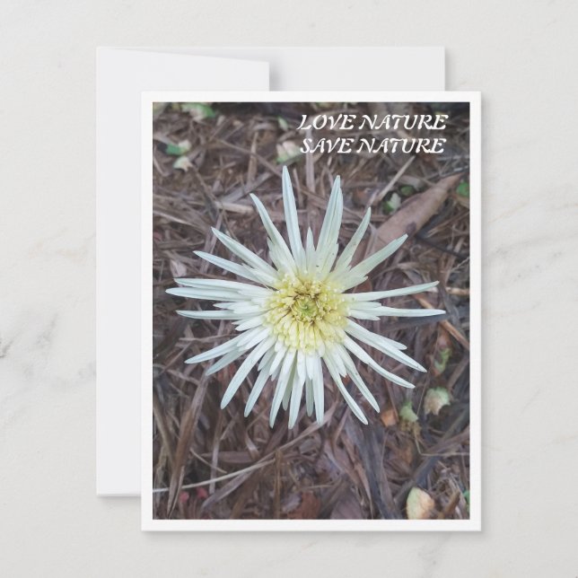 De Correspondance Carte Flat Note avec beauté nature (Devant)