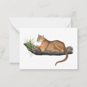 De Correspondance Carte Floride Panther Note