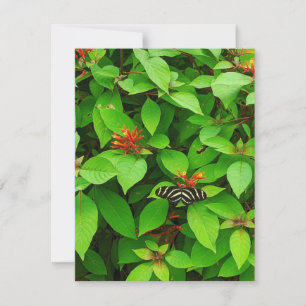 De Correspondance Carte pour notes papillon