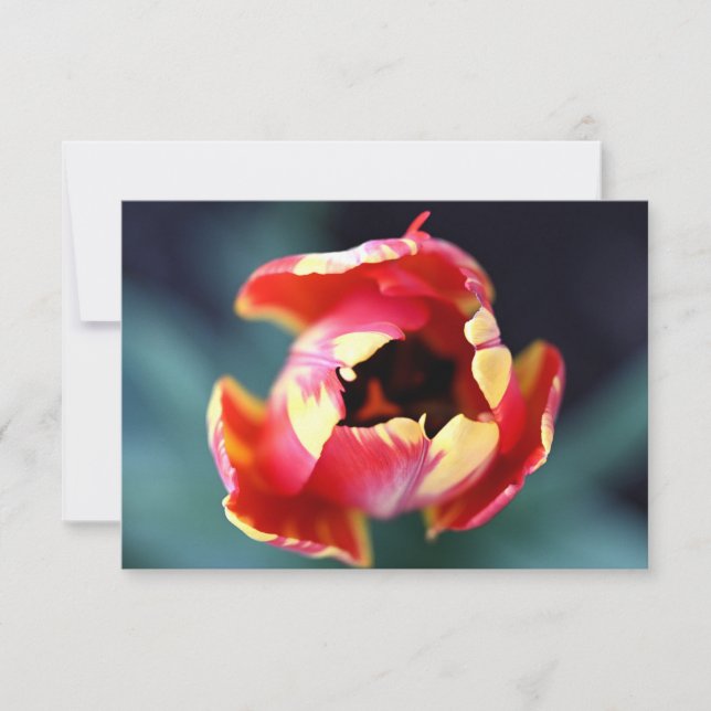 De Correspondance Carte pour notes Tulip (Devant)