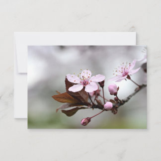De Correspondance Cherry Blossom Carte pour notes