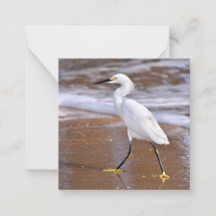 De Correspondance Egret at the Beach mini carte pour notes set