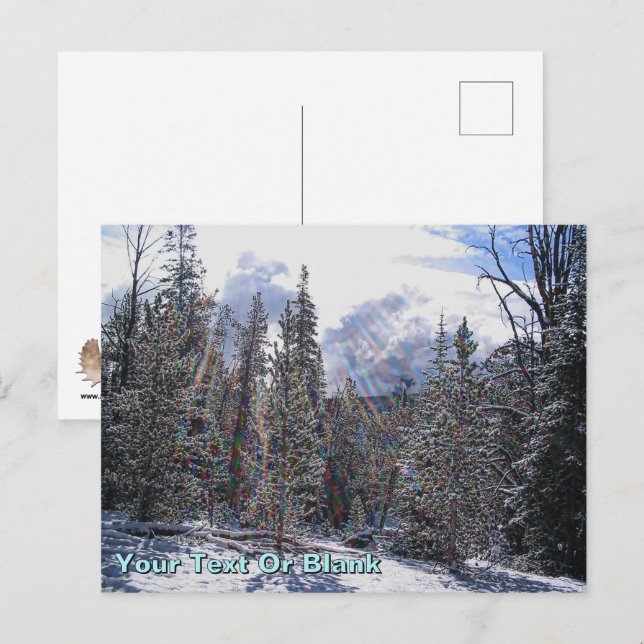 De Havilland Beaver Floatplane Postcard (Front/Back)