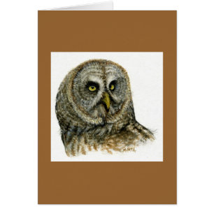 De "hibou grand gris "