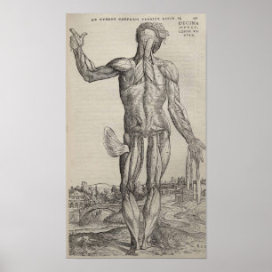 De Humani Corporis Poster