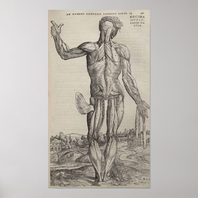De Humani Corporis Poster (Front)