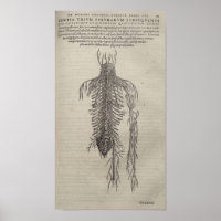 De Humani Corporis