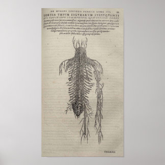 De Humani Corporis Poster