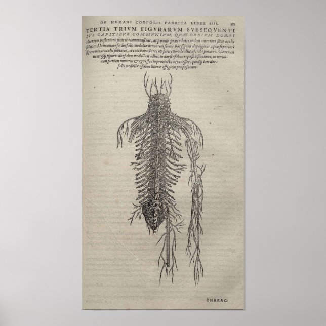 De Humani Corporis Poster (Front)