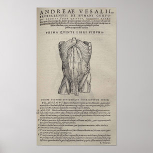 De Humani Corporis Poster