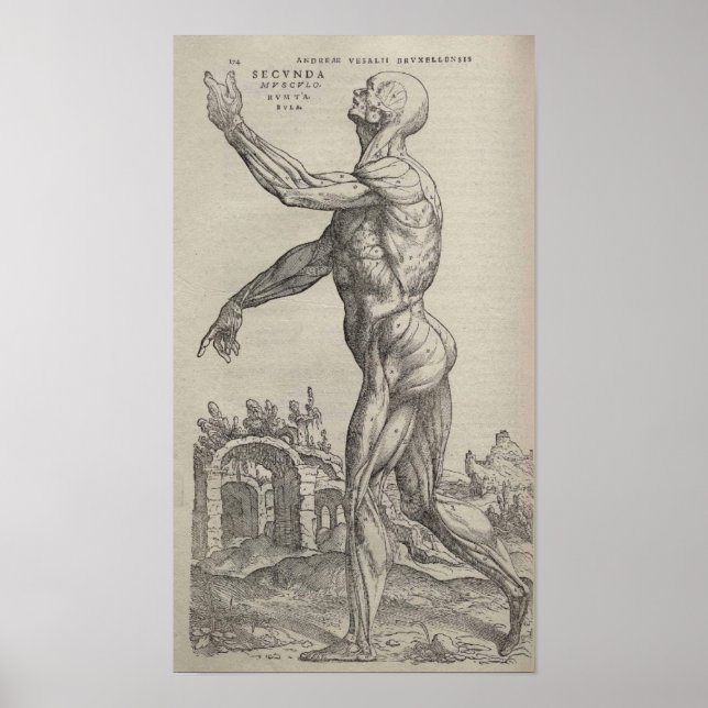 De Humani Corporis Poster (Front)